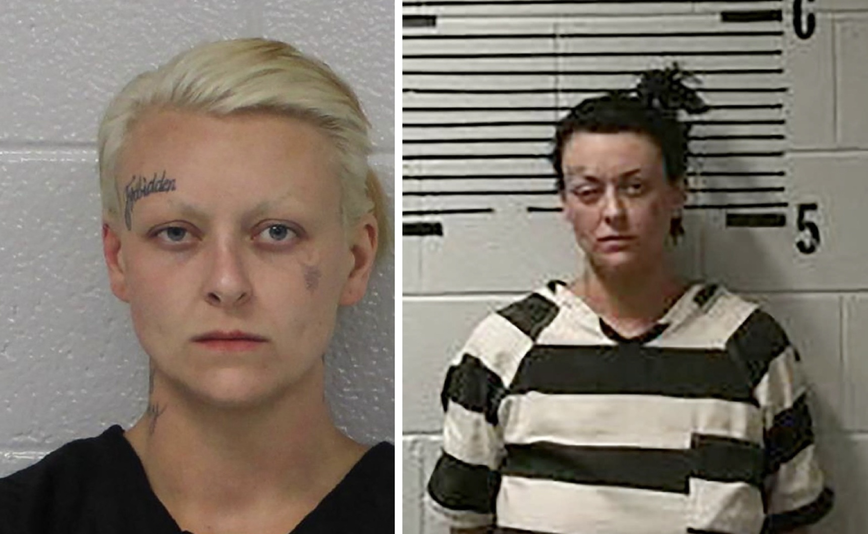 We have suffered a loss